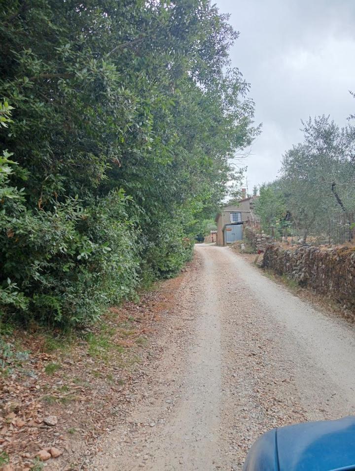 Affittacamere La Casella Monteriggioni Esterno foto