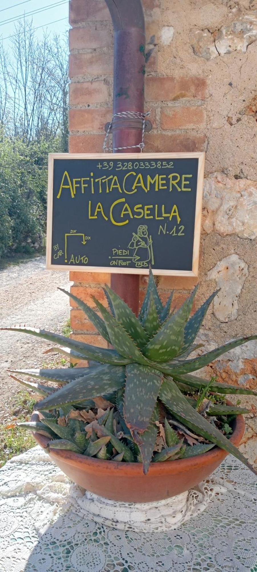 Affittacamere La Casella Monteriggioni Esterno foto